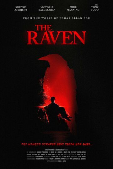 Постер фильма «The Raven»