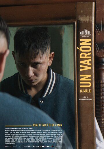 Постер фильма «Мужик»