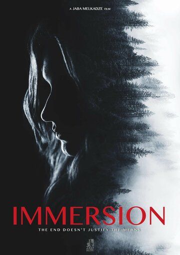 Постер фильма «Immersion»