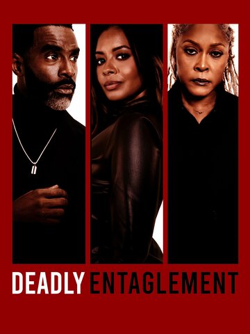 Постер фильма «Deadly Entanglement»