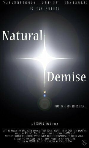 Постер фильма «Естественная смерть»