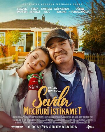 Постер фильма «Обязательная цель любви»