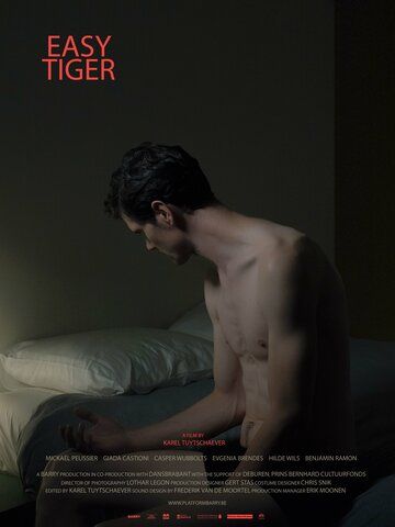 Постер фильма «Easy Tiger»