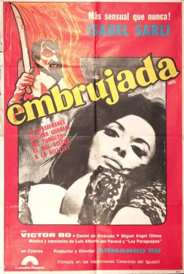 Постер фильма «Embrujada»