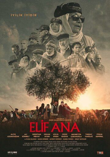 Постер фильма «Elif Ana»