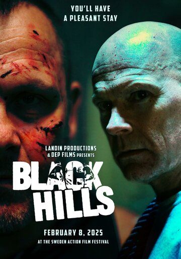 Постер фильма «Black Hills»