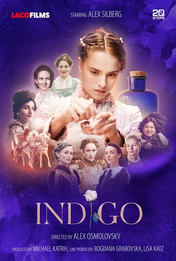 Постер фильма «Индиго»