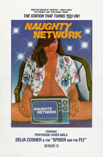 Постер фильма «Naughty Network»