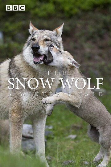 Постер фильма «The Snow Wolf: A Winter's Tale»