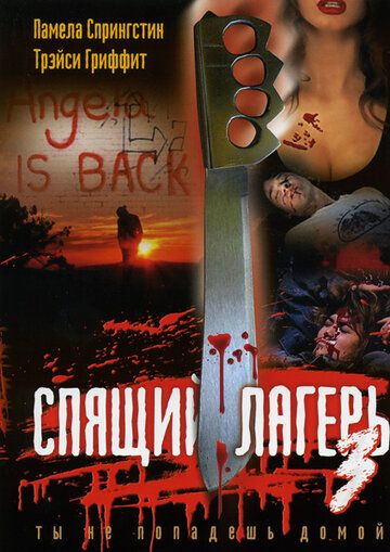 Постер фильма «Спящий лагерь 3: Безлюдная территория»