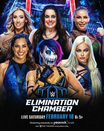 Постер фильма «WWE Камера ликвидации»
