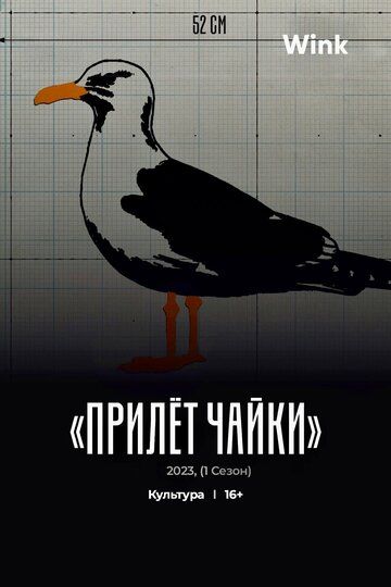 Постер фильма «Прилёт чайки»