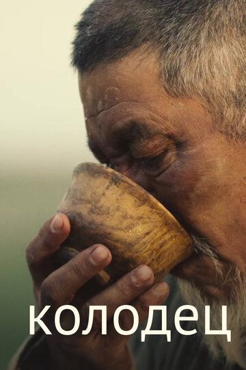 Постер фильма «Колодец»