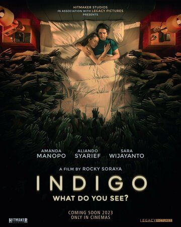 Постер фильма «Индиго»