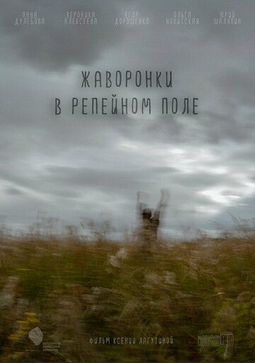 Постер фильма «Жаворонки в репейном поле»