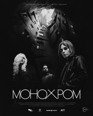 Постер фильма «Монохром»