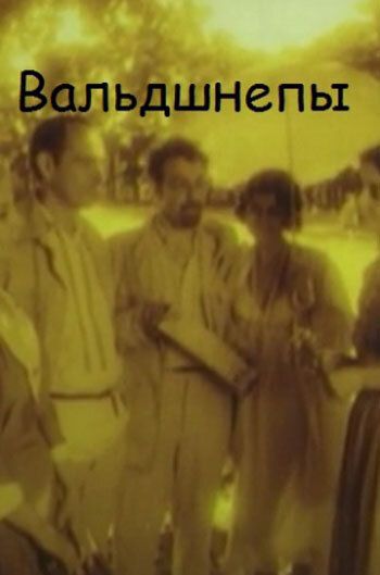 Постер фильма «Вальдшнепы»