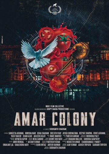 Постер фильма «Amar Colony»