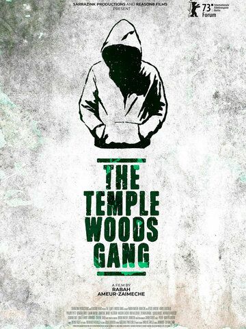 Постер фильма «Le gang des Bois du Temple»