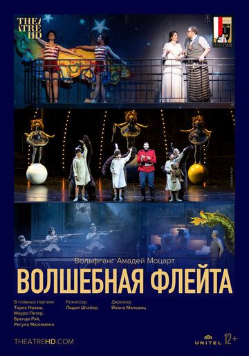 Постер фильма «Зальцбург: Волшебная флейта»