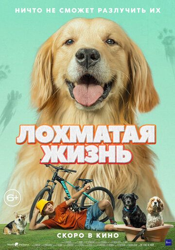 Постер фильма «Лохматая жизнь»