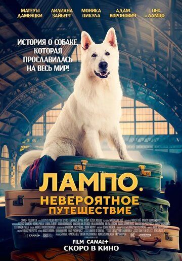 Постер фильма «Лампо. Невероятное путешествие»