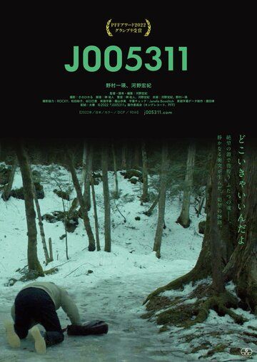 Постер фильма «J005311»
