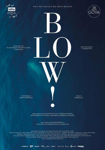 Постер фильма «Blow!»