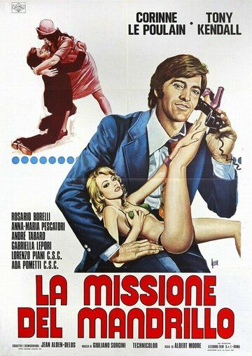 Постер фильма «La missione del mandrillo»