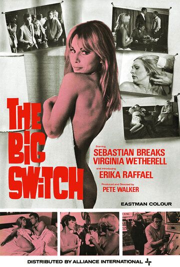 Постер фильма «The Big Switch»