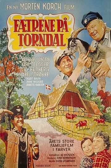 Постер фильма «Fætrene på Torndal»