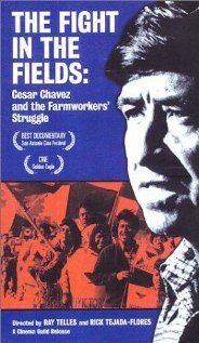 Постер фильма «The Fight in the Fields»