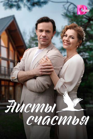 Постер фильма «Аисты счастья»