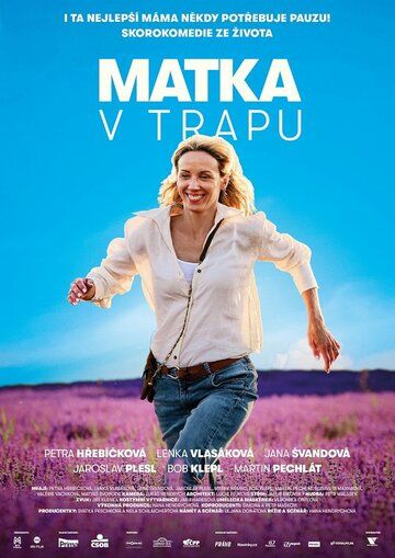 Постер фильма «Мать в ловушке»