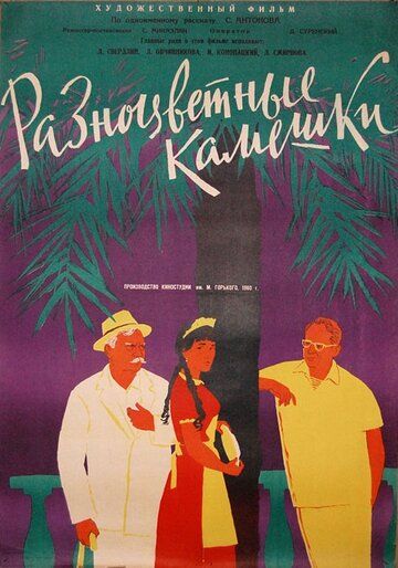 Постер фильма «Разноцветные камешки»