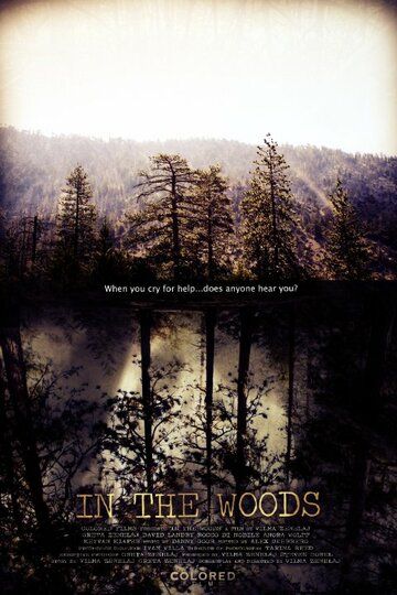 Постер фильма «In the Woods»