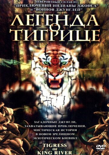 Постер фильма «Легенда о тигрице»