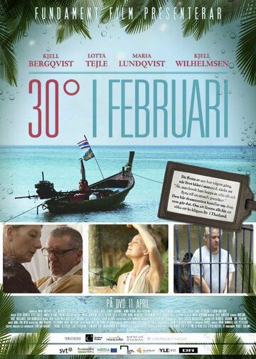 Постер фильма «30 градусов в феврале»