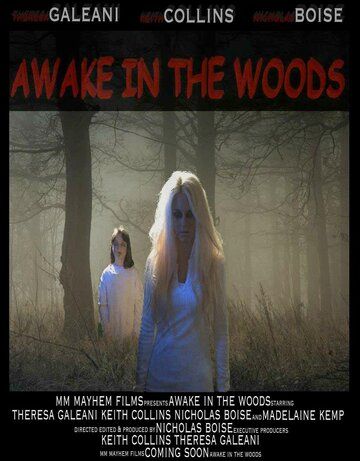 Постер фильма «Awake in the Woods»