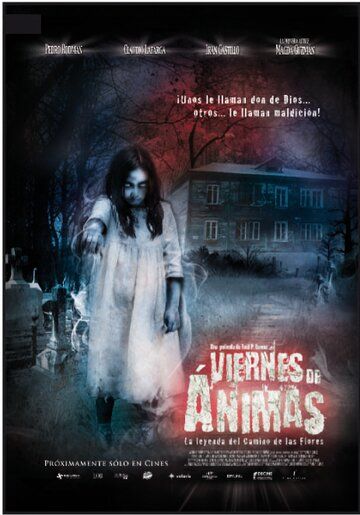Постер фильма «Viernes de Ánimas: El camino de las flores»