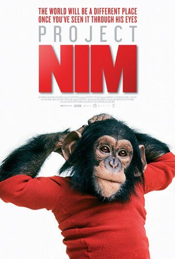 Постер фильма «Проект «Ним»»