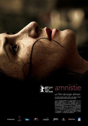 Постер фильма «Амнистия»