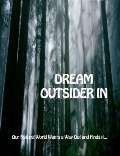 Постер фильма «Dream - Outsider In»