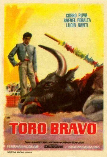 Постер фильма «Toro bravo»