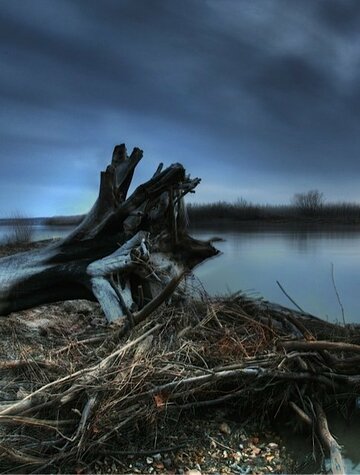 Постер фильма «Down by the Water»