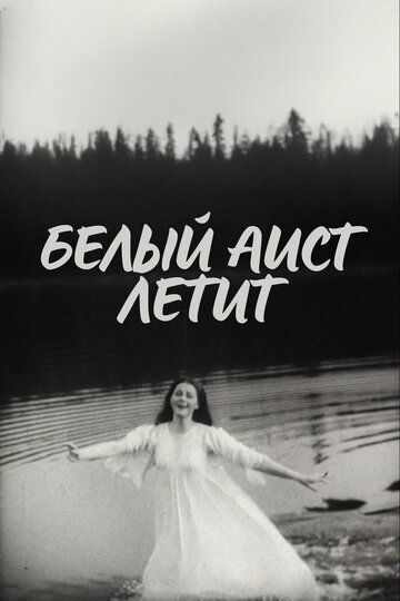 Постер фильма «Белый аист летит»