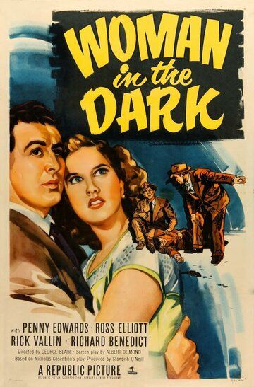 Постер фильма «Woman in the Dark»