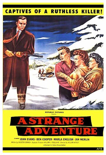 Постер фильма «A Strange Adventure»
