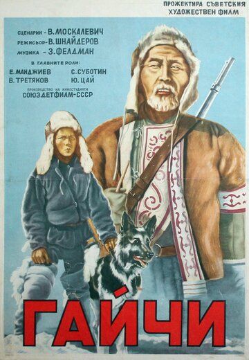 Постер фильма «Гайчи»