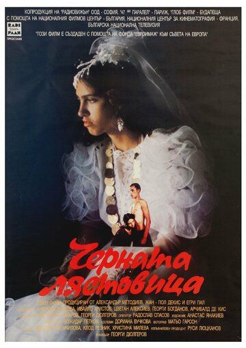 Постер фильма «Черная ласточка»